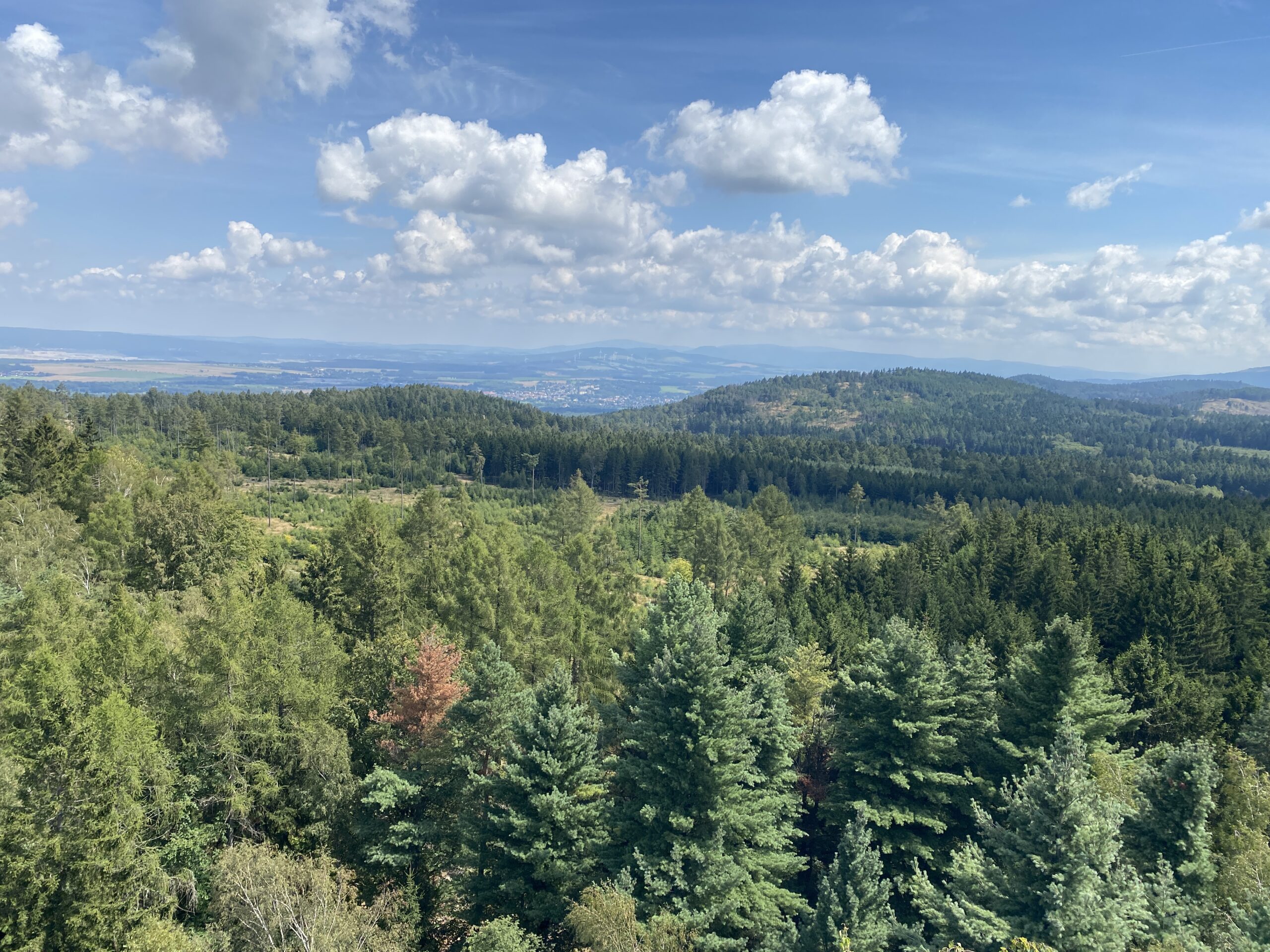 Ferienwohnung Panorama